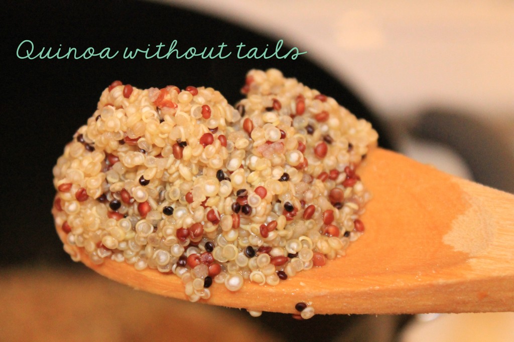 Quinoa without tails_words