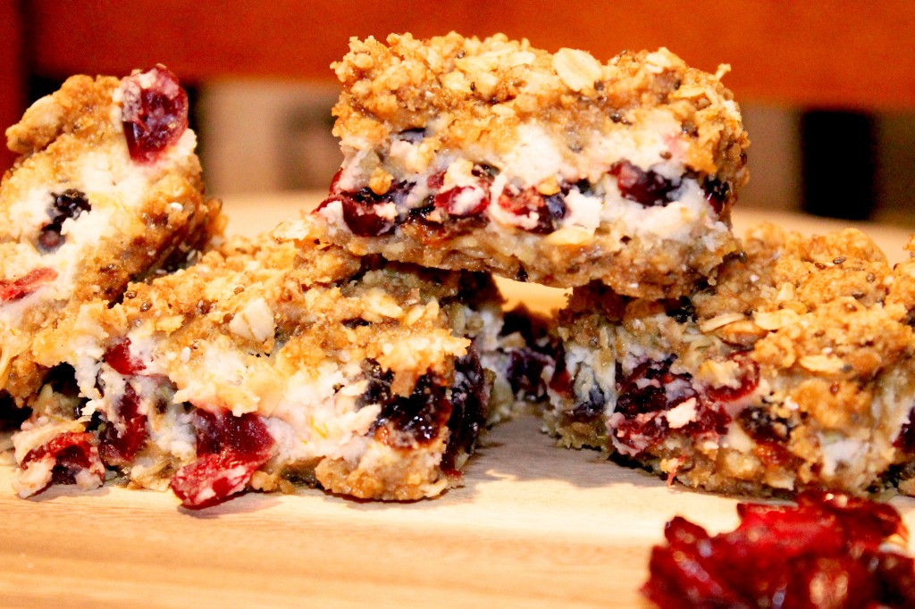 Canberry YOatmeal Bars