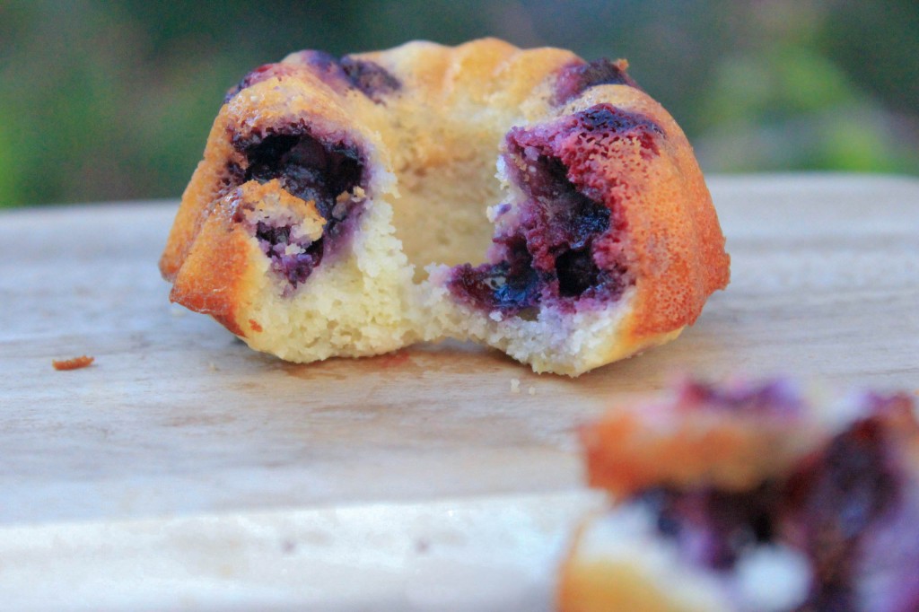 Blueberry lemon mini-bundts (5 of 6)