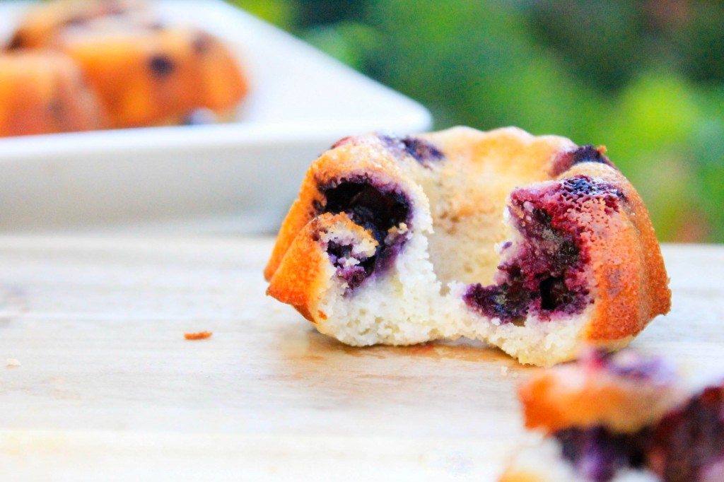 Blueberry lemon mini-bundts (6 of 6)