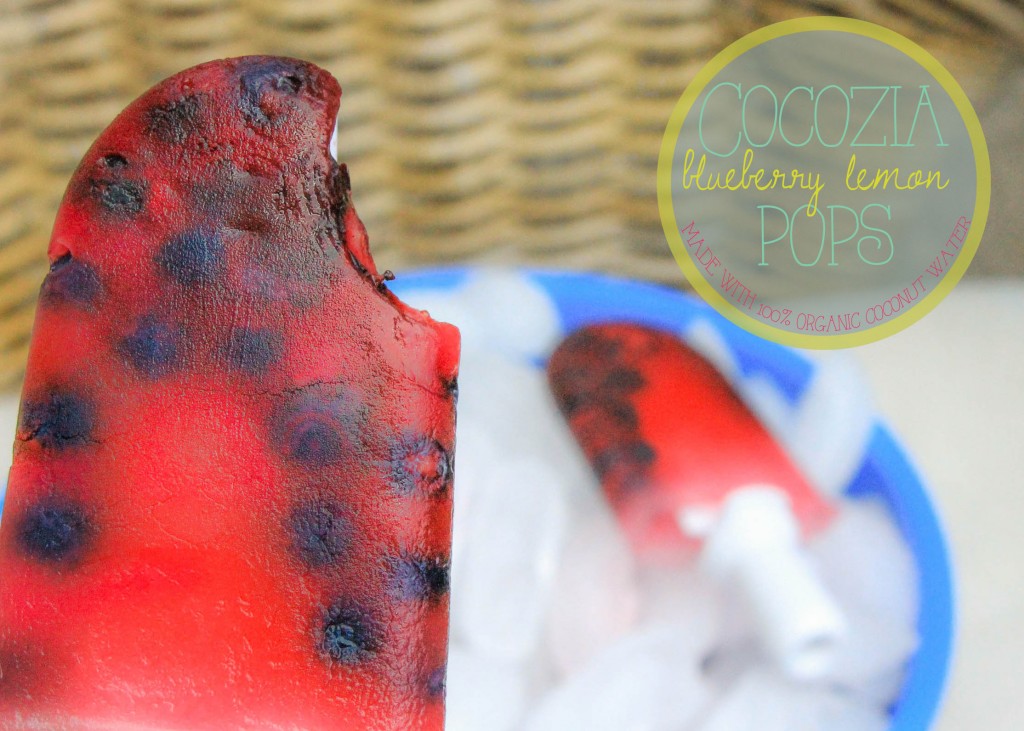 Cocozia Lemon Blueberry pops_title