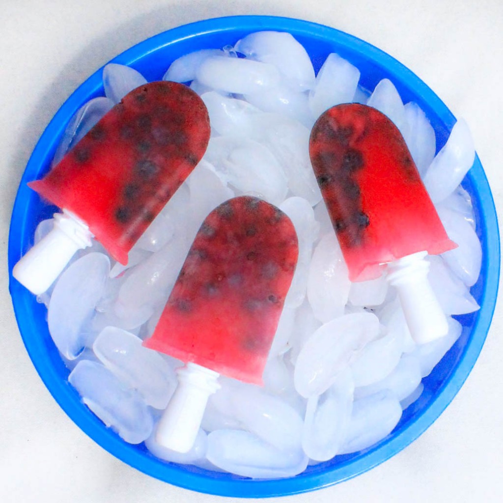 Cocozia Lemon Blueberry popsicles (1 of 2)