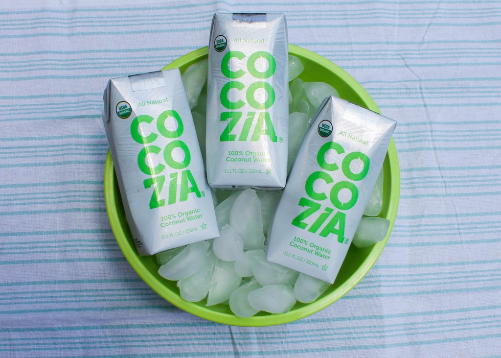 Cocozia Lemon Blueberry popsicles (1 of 7)