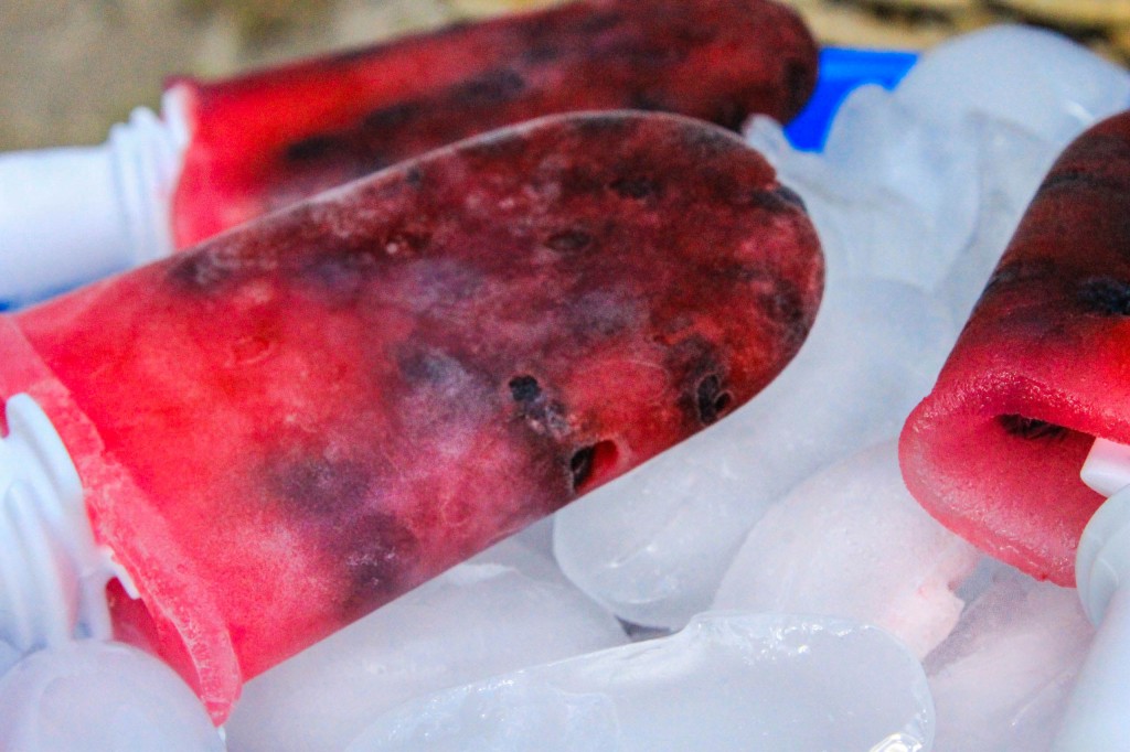 Cocozia Lemon Blueberry popsicles (2 of 2)