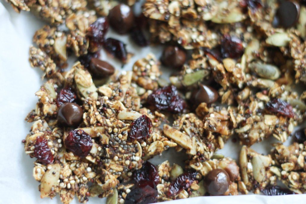 skinny pumpkin spice granola