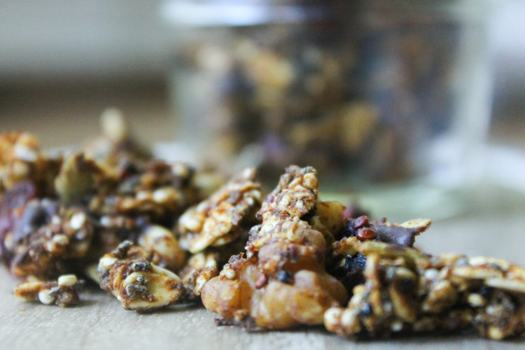 skinny pumpkin spice granola