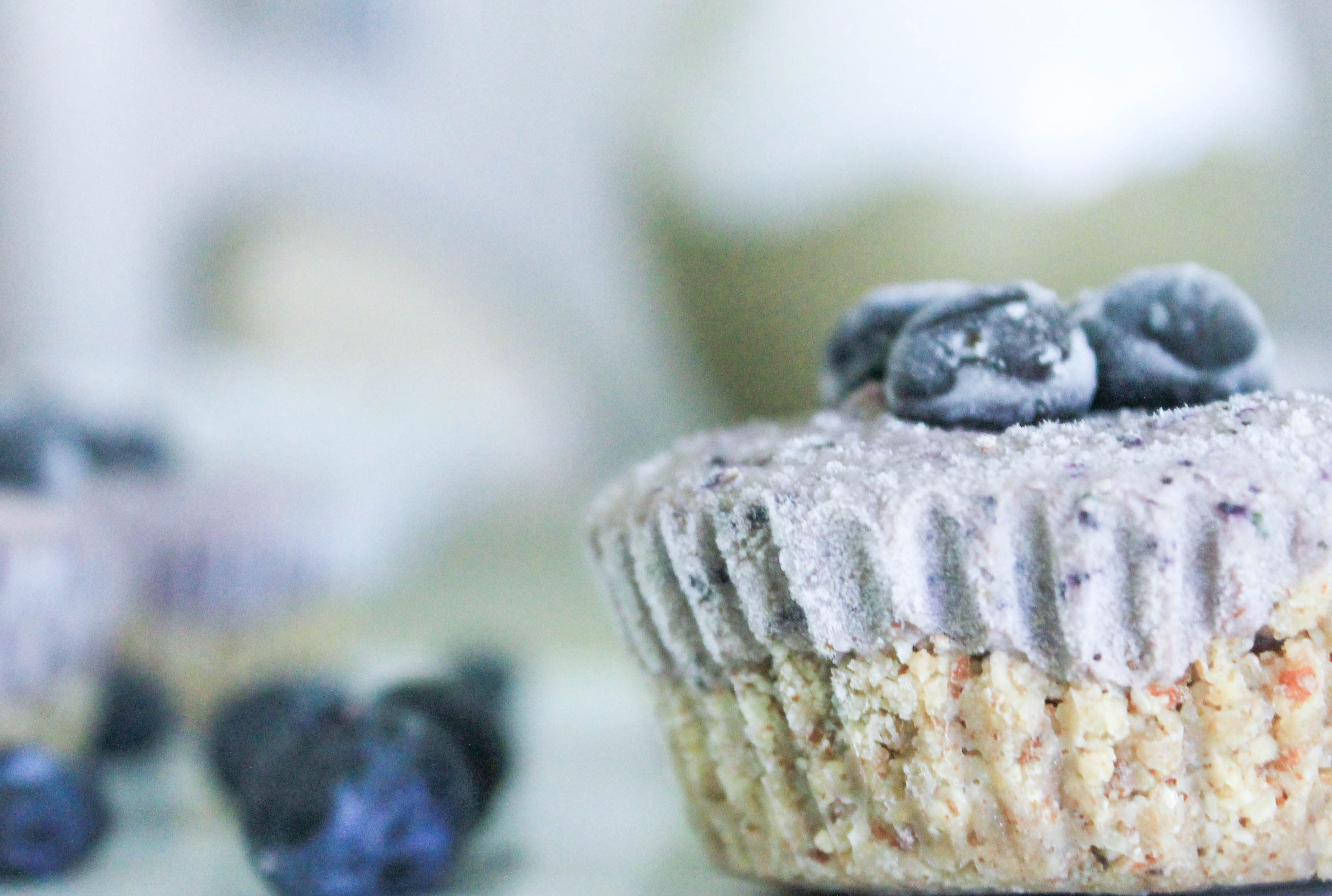No Bake Blueberry Lemon Cheesecake Bites